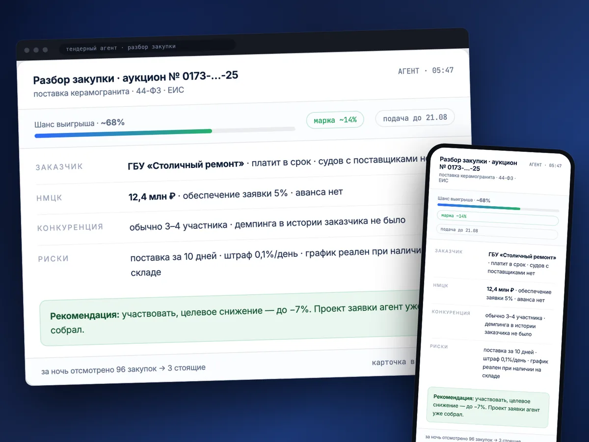 Разбор закупки тендерным агентом: шанс выигрыша, риски и рекомендация
